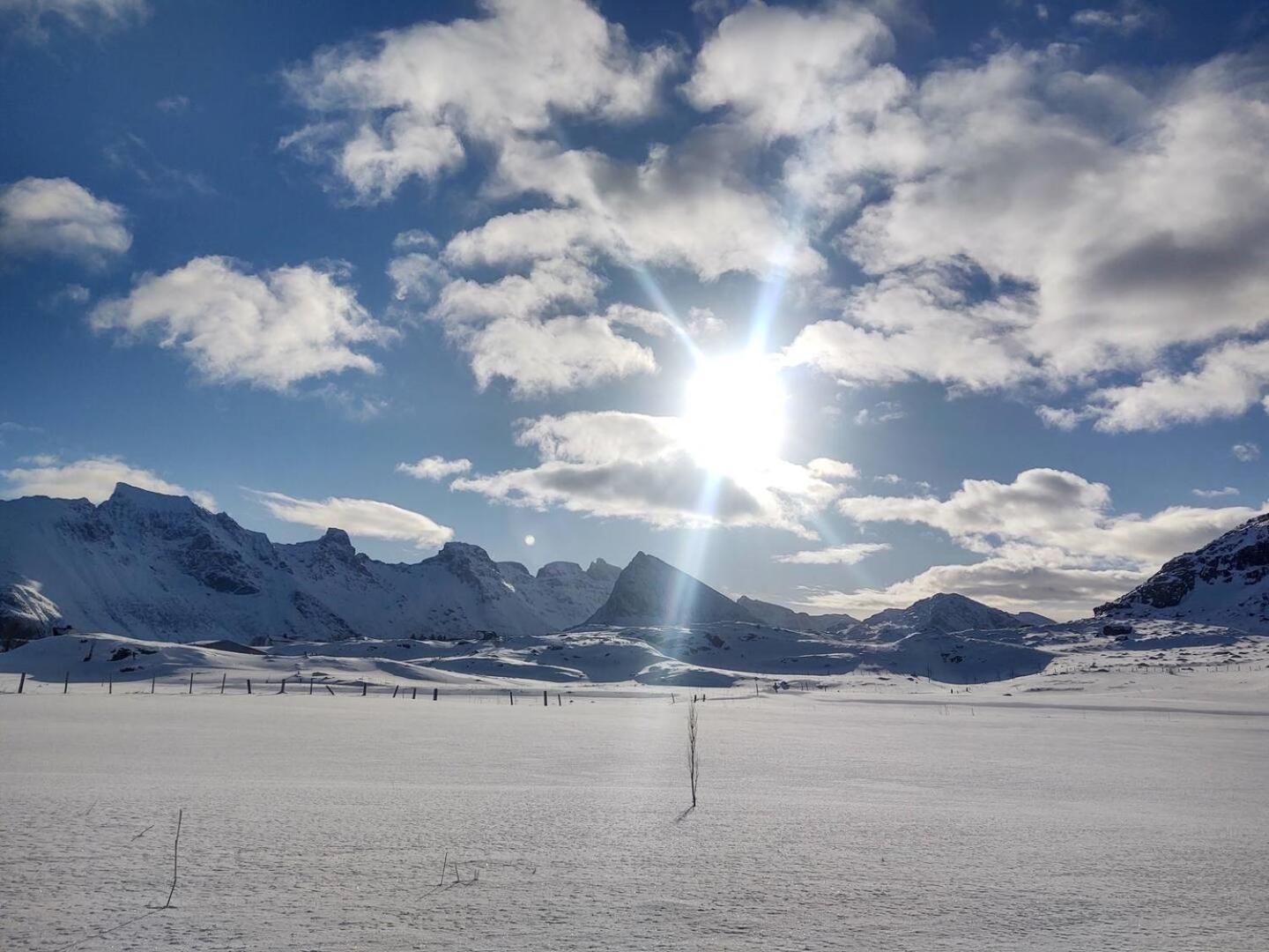 Fredvang Farm House - Lofoten Exteriör bild