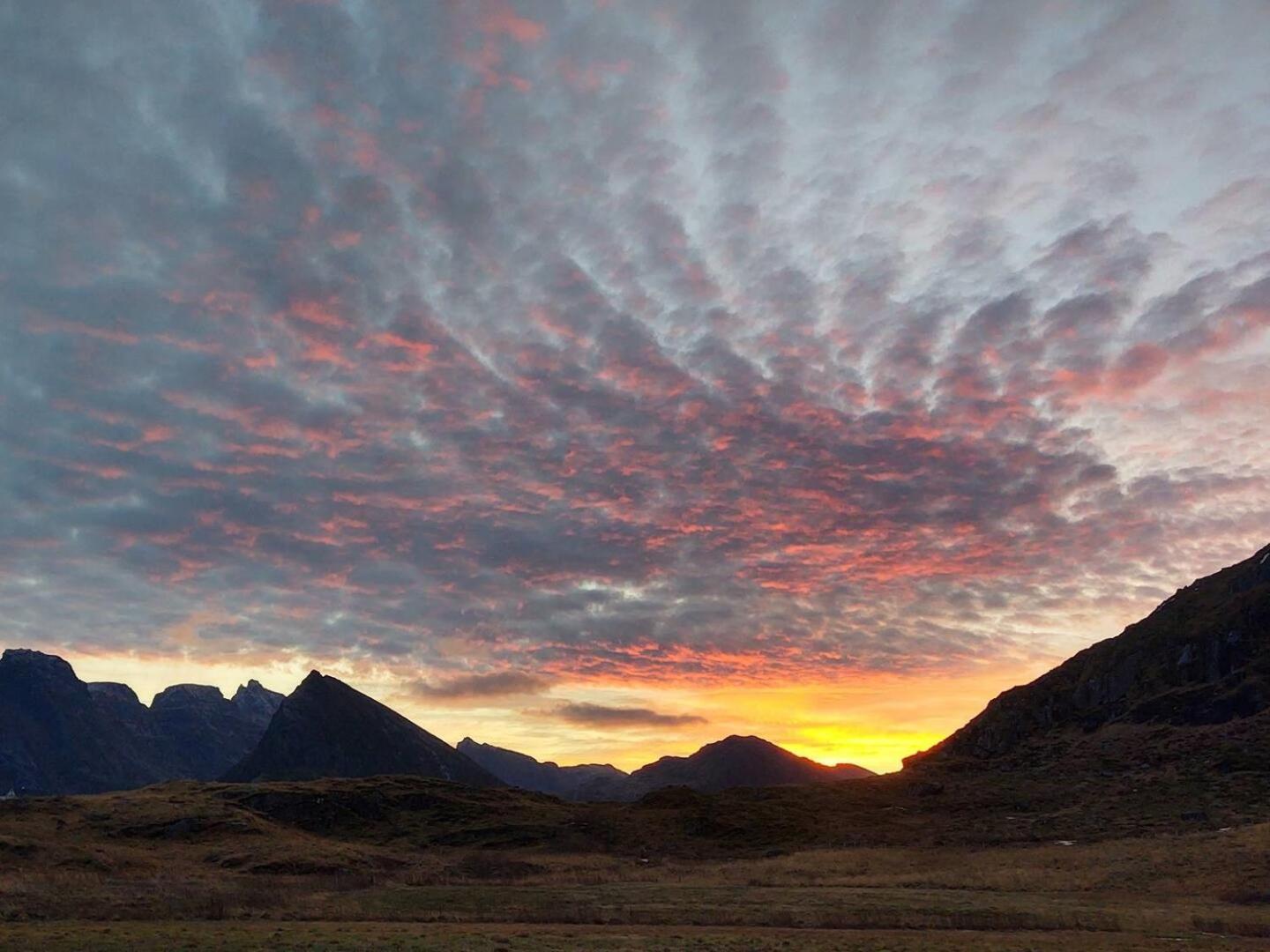 Fredvang Farm House - Lofoten Exteriör bild