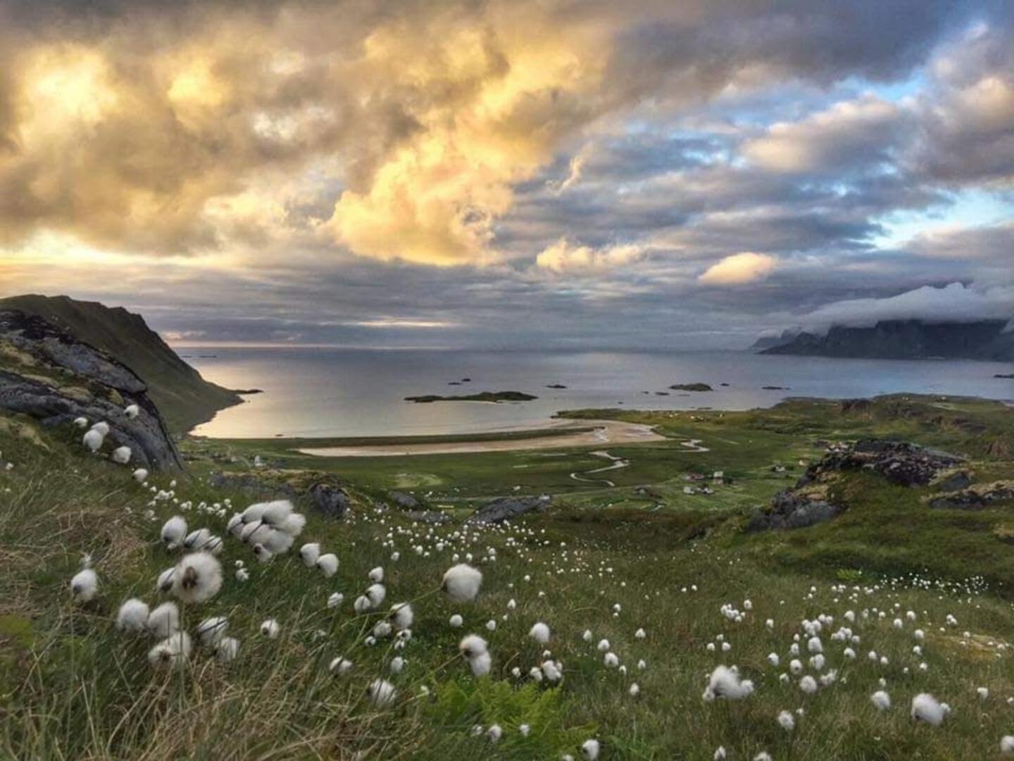Fredvang Farm House - Lofoten Exteriör bild