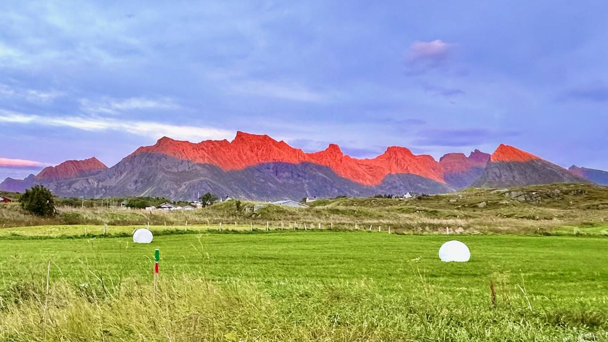 Fredvang Farm House - Lofoten Exteriör bild